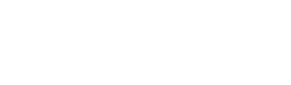 Białe logo Boatman
